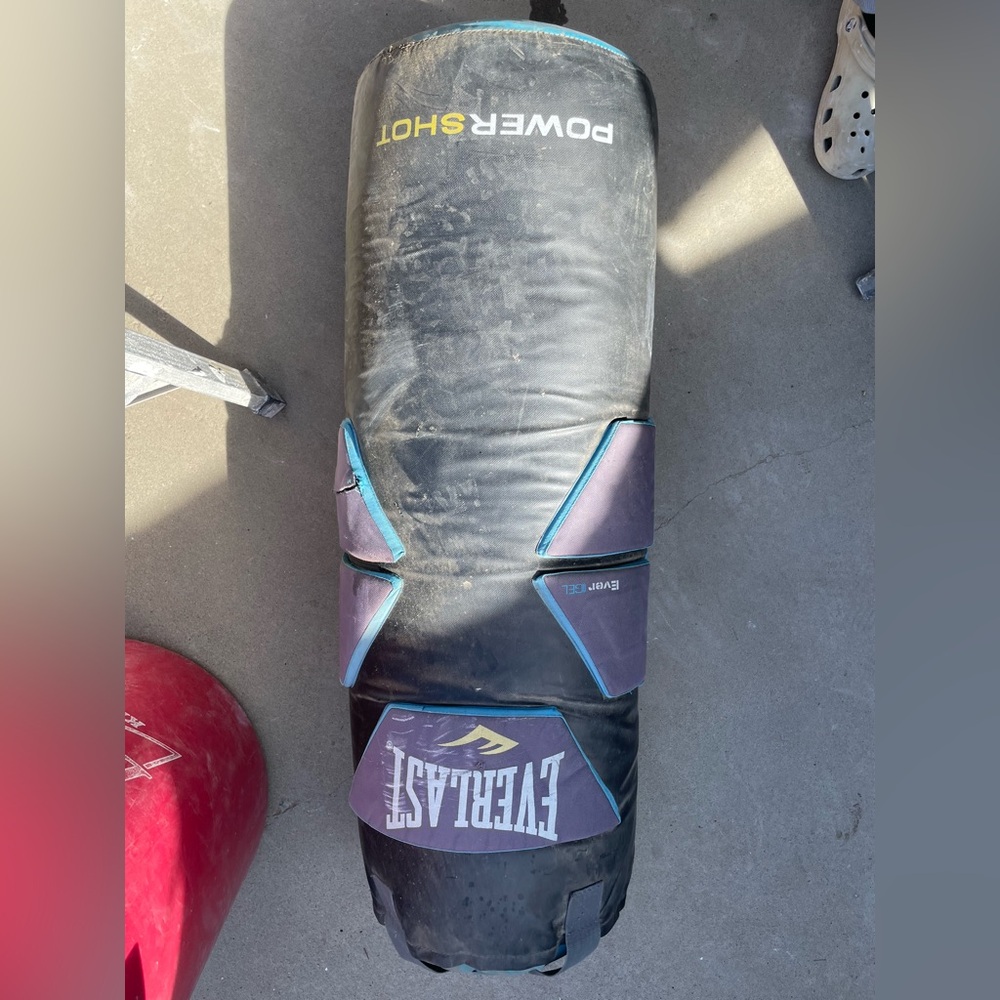 Everlast Punching Bag